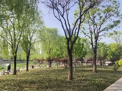 -西海子公园