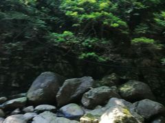 -白云源风景区