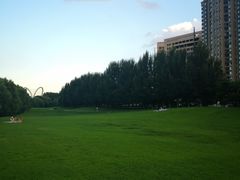 -长白岛森林公园