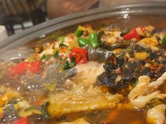 -探炉·香辣豆花烤鱼(笋岗宝能环球汇店)