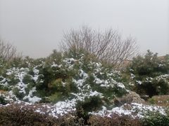 -泰安东尊华美达广场酒店(泰山景区店)