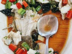 -陶缘一号·四季缘·老字号顺德菜·户外婚礼家宴(西滘店)