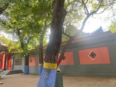 -哈尔滨极乐寺