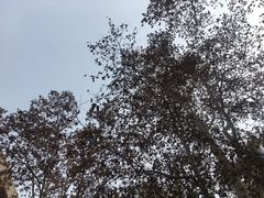 -山东师范大学(千佛山校区)
