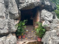 -亚马逊丛林水乐园