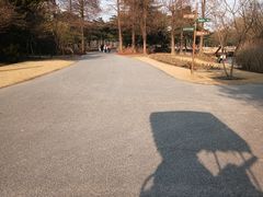 -上海滨江森林公园