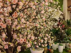 -汤连得温泉馆(宝山店)