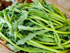 -老诚一锅(锦州总店)