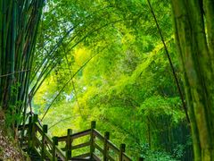 -凤栖山