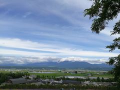 -富田农场