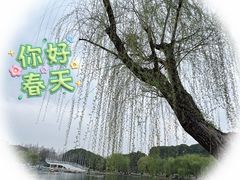 -大宁公园