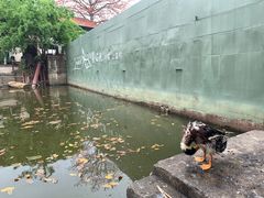 -喜洲吧·江畔老船厂·庭院餐厅(喜临院店)