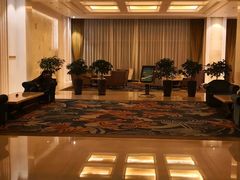 -合肥丰大国际大酒店