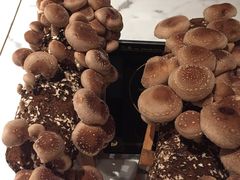 -大喜牛鲜牛肉火锅(世纪金源店)