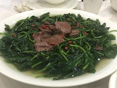 -鹅城