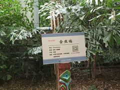 -呀路古热带植物园