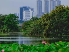 -南宁南湖公园
