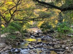 -广州市石门国家森林公园
