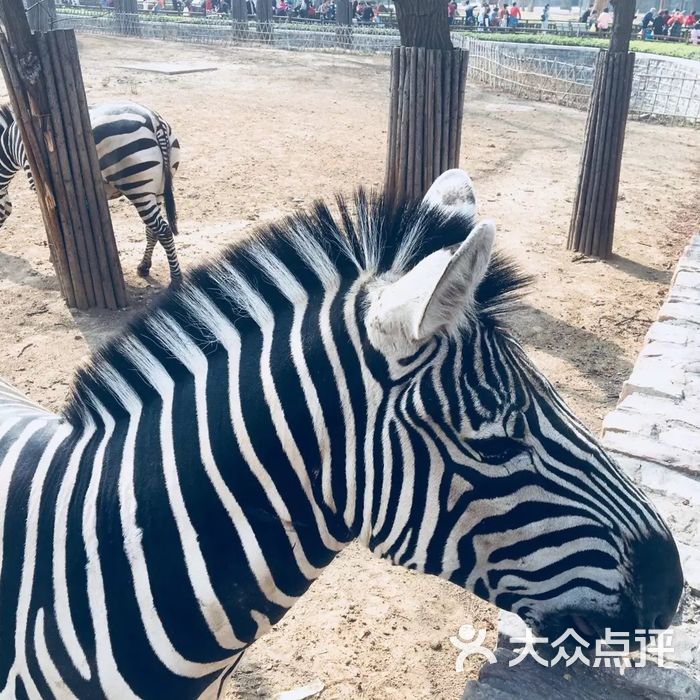 濟南動物園