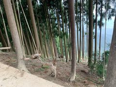 -太阳湾风景区