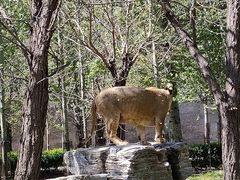 -秦皇岛野生动物园