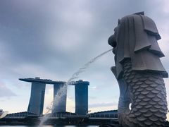 景点-鱼尾狮公园