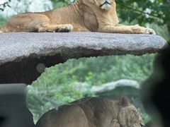 -北京野生动物园