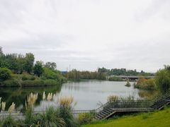 -白鹭湾湿地公园