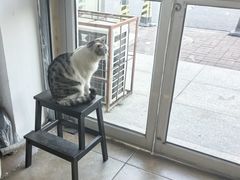 -青春加萌照相馆