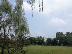 -鹅湖玫瑰文化园