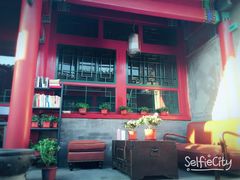 -百好乐宠物友好餐厅(朝外大街店)