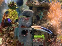 -太平洋海底世界