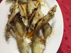 -蛇口康乐快餐鱼仔档(翠苑小区店)