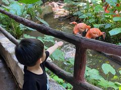 -长鹿旅游休博园
