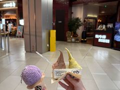 -野人先生现做冰淇淋(北京环宇荟店)