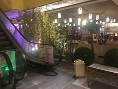 -汤泉良子(金源店)