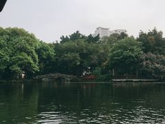 -荔湾湖公园