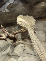 -Zoolung Zoolung动物主题公园(海信广场店)