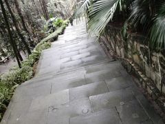 -铁山坪森林公园