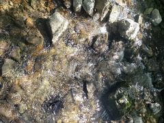 -青峰峡国家森林公园