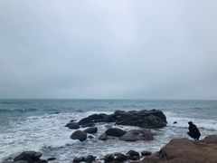 -青岛海景花园大酒店·白果树餐厅青岛菜
