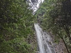 -姑婆山旅游区
