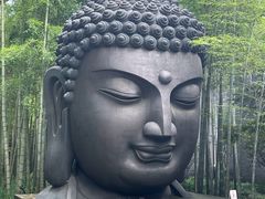 -杭州植物园