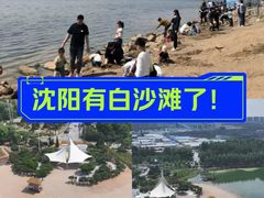-丁香湖公园