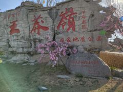 -王莽岭风景区