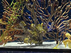 -珠海长隆海洋王国