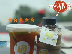-LIMITED EXPRESS 限定快线