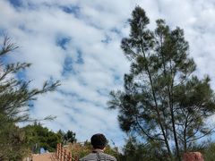 -广东惠东海龟国家级自然保护区
