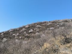 -香山公园
