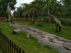 -自贡恐龙博物馆